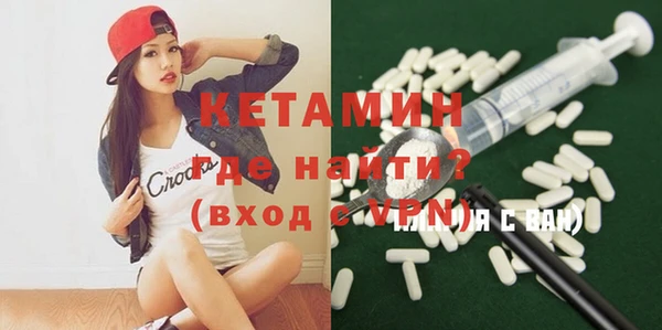 шишки Абаза