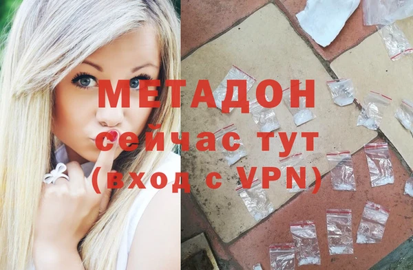 шишки Абаза
