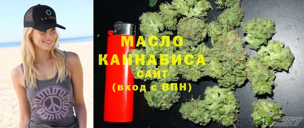 шишки Абаза