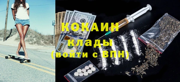 шишки Абаза