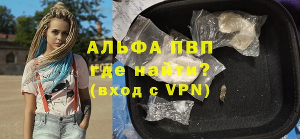 шишки Абаза