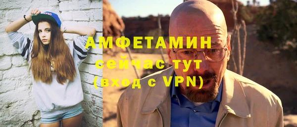 шишки Абаза