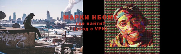 шишки Абаза