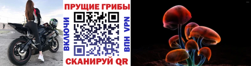 хочу наркоту  Алексин  нарко площадка клад  Псилоцибиновые грибы Psilocybine cubensis 