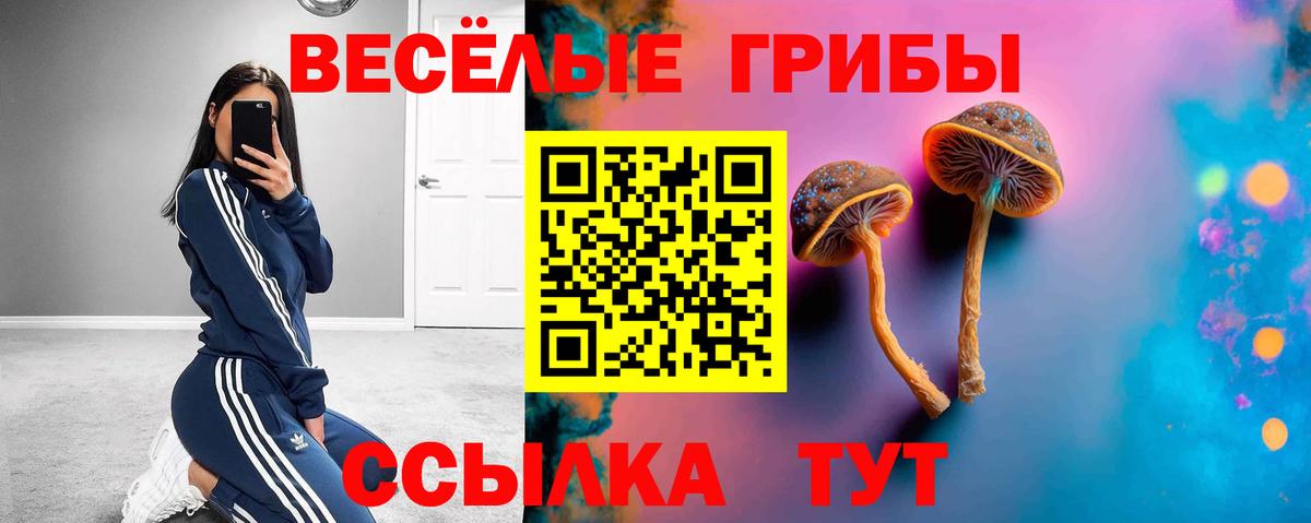Галлюциногенные грибы мицелий  Галлюциногенные грибы прущие грибы  Алексин  Вход с VPN 